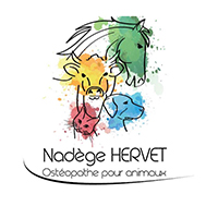 Nadège Hervet - Ostéopathe pour animaux